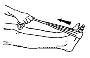 calf stretches for runners