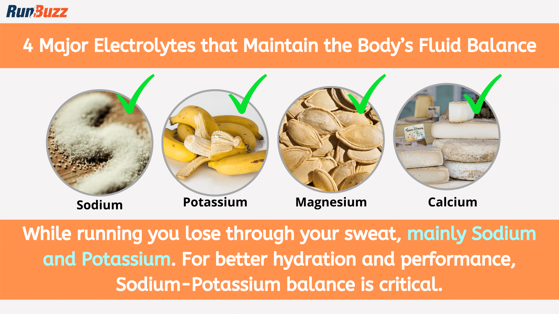 4-Major-Electrolytes-that-Maintain-the-Body’s-Fluid-Balance
