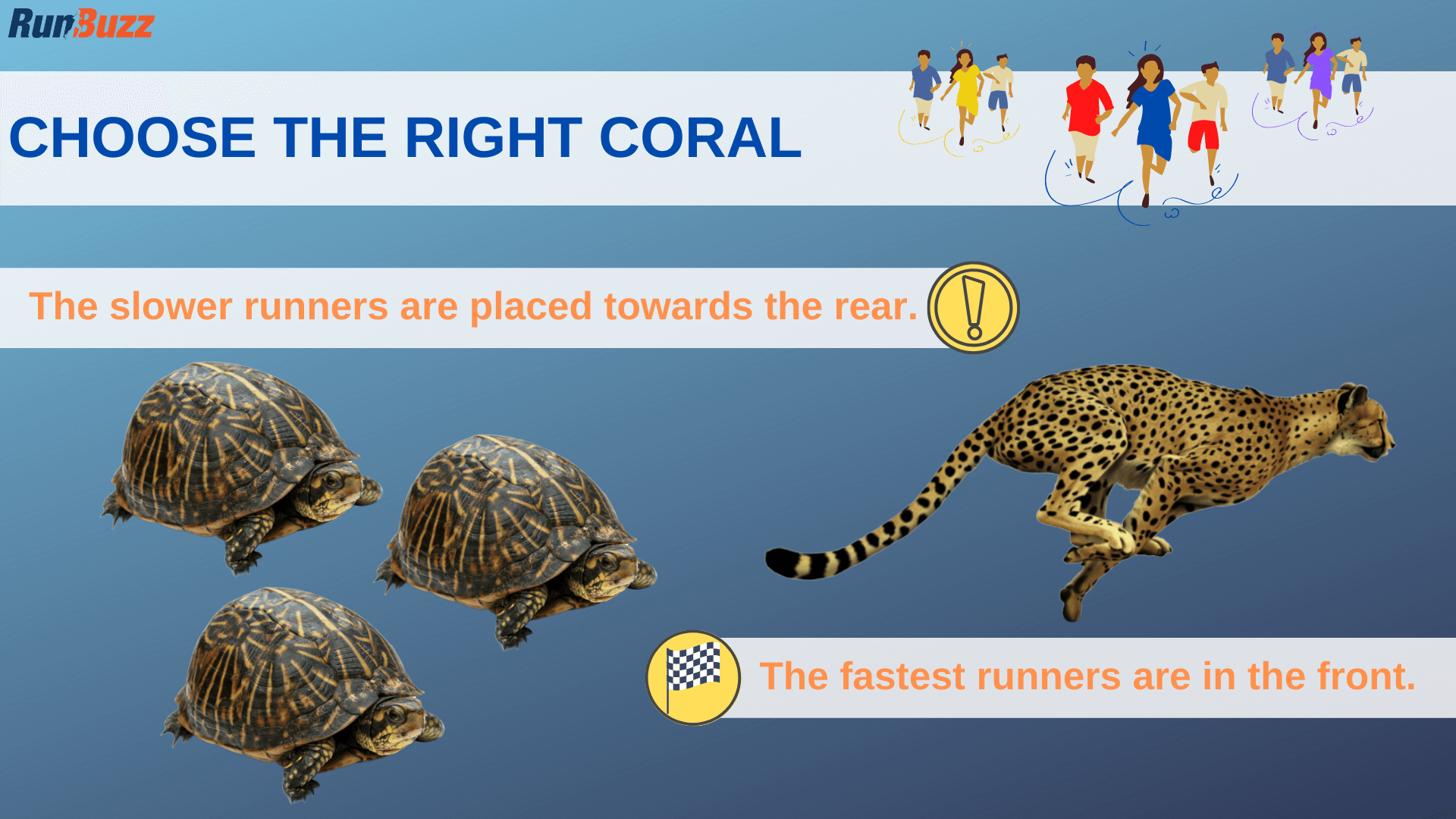 Choose-the-right-coral