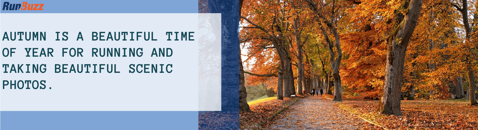 Autumn-is-a-beautiful-time-of-year