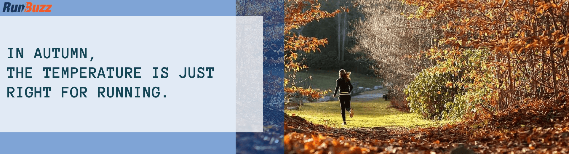 In-autumn-the-temperature-is-just-right-for-running