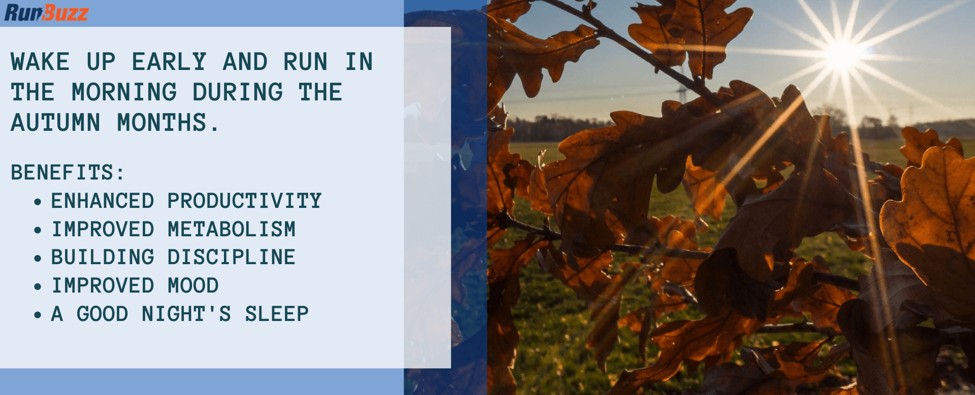 Wake-up-early-and-run-in-the-morning-during-the-Autumn-months
