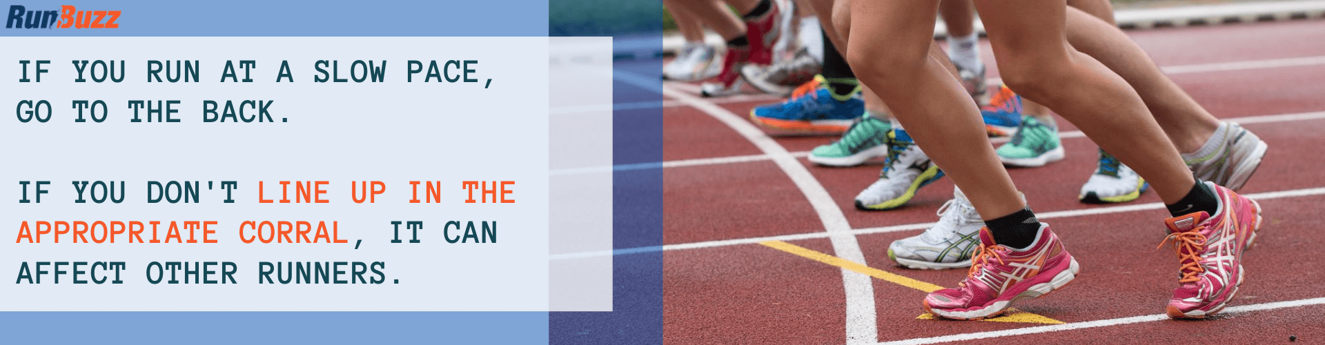 Line-up-in-the-Appropriate-Corral