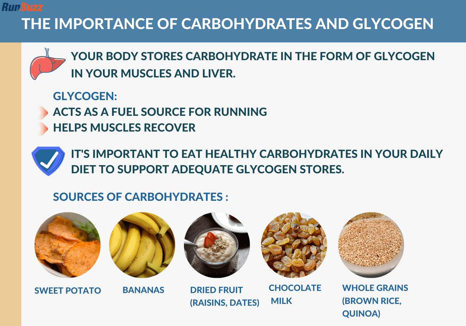 The-Importance-of-Carbohydrates-and-Glycogen